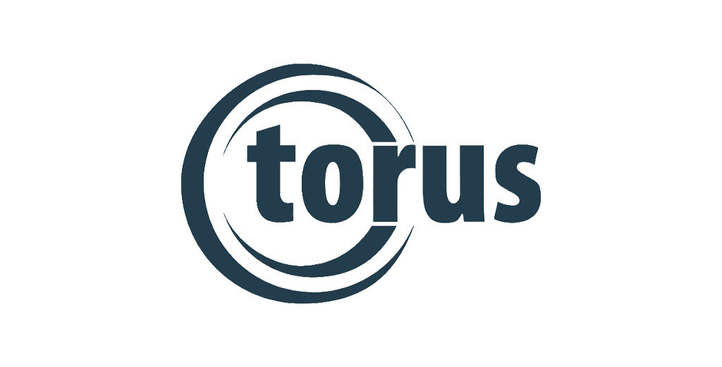 Torus Measurement Systems Logo