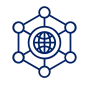 Network Licensing