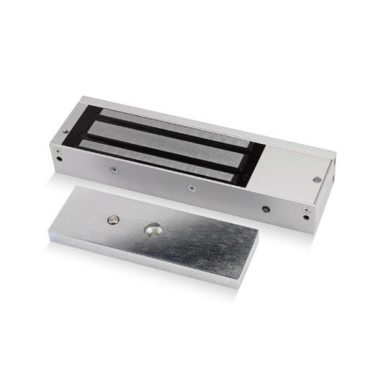 ICS Monitored standard magnet - A-10020